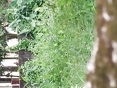 Sri Lanka vài hồ trong nghị viện đi bộ theo dõi